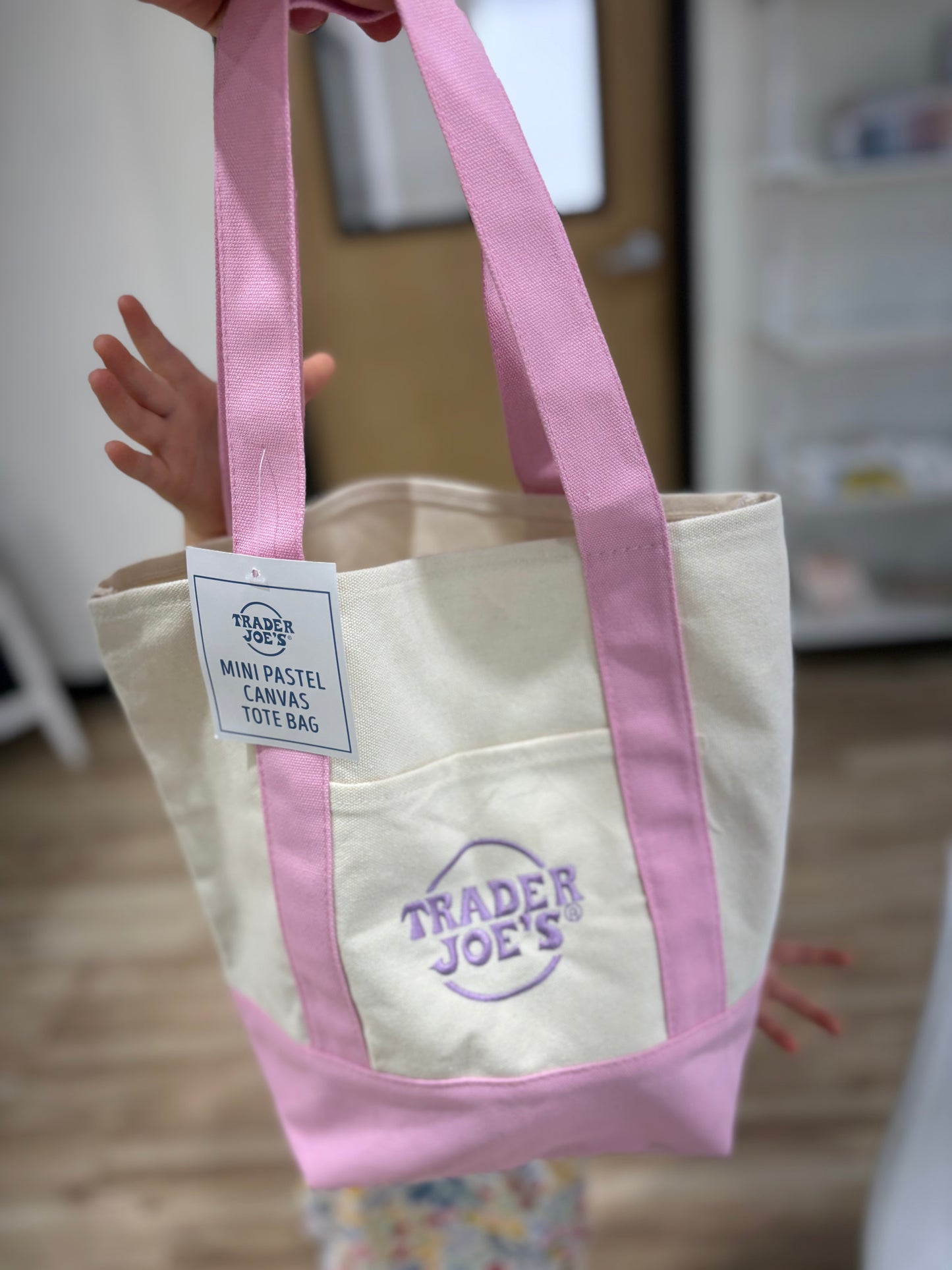 TRADER JOES MINI CANVAS TOTE